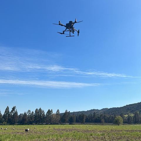 Dron en vuelo sobre un potrero rural.